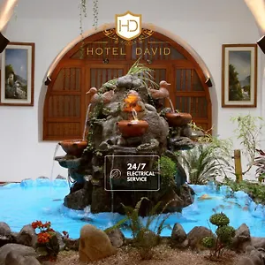 David Отель